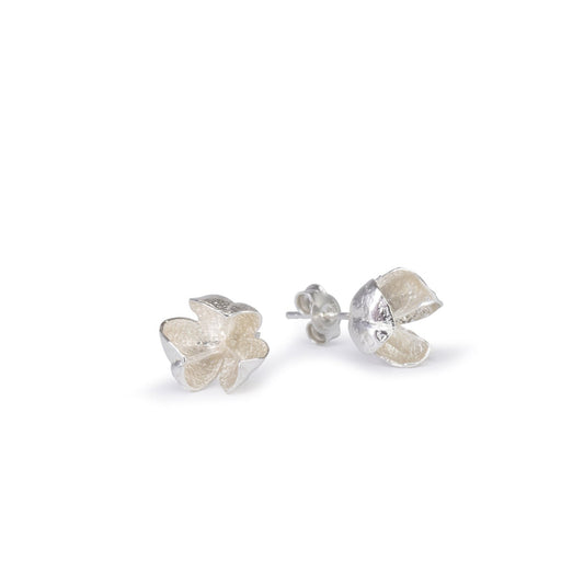 Small Silver Spikethorn Studs