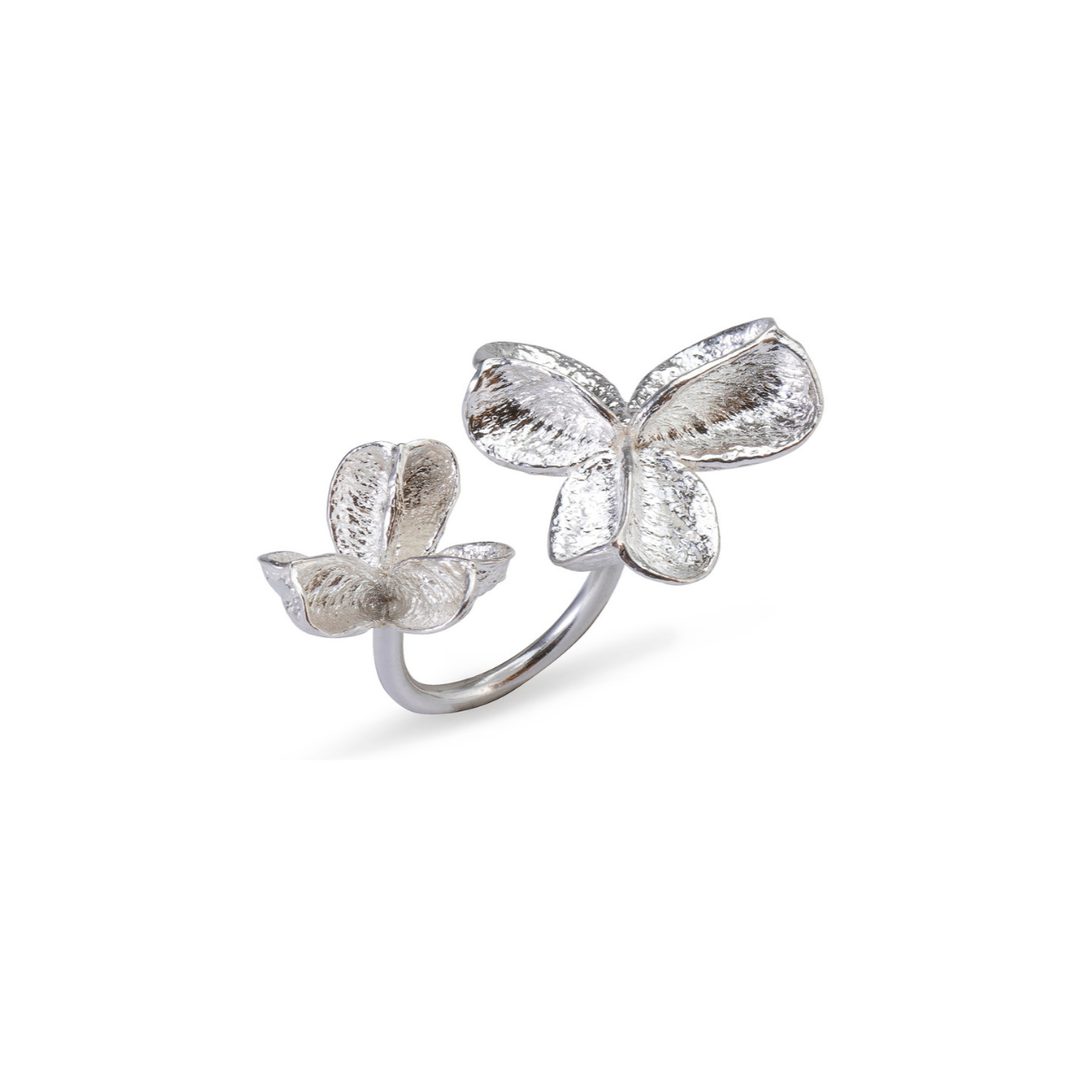 Silver Double Pod Ring with Silver Band