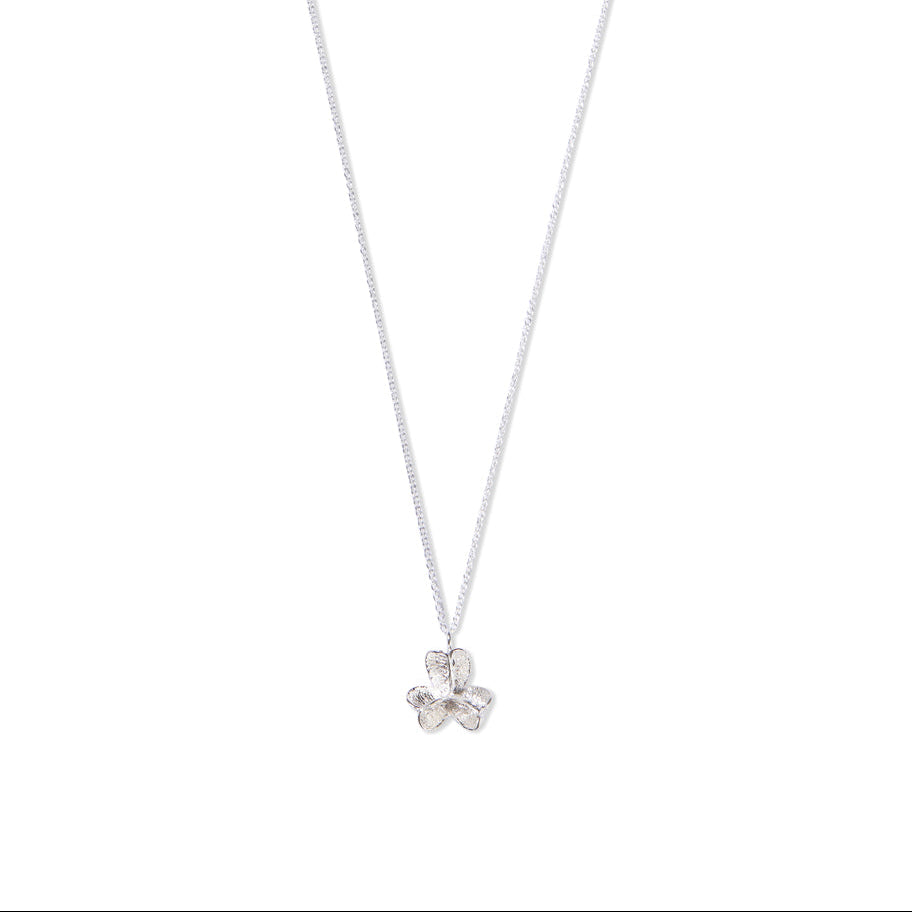 large silver spikethorn pod pendant by Tiffany Marx on a silver chain